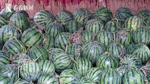 51热门大瓜今日大瓜,今日热点事件大盘点